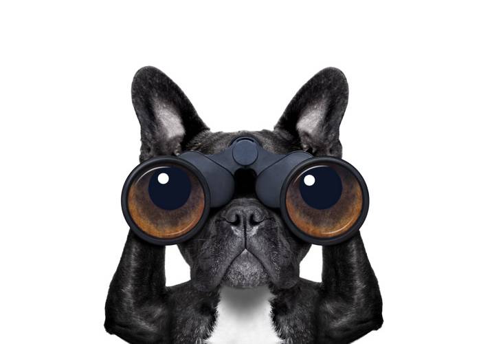 5 Steps to Trademark Monitoring (Easy)