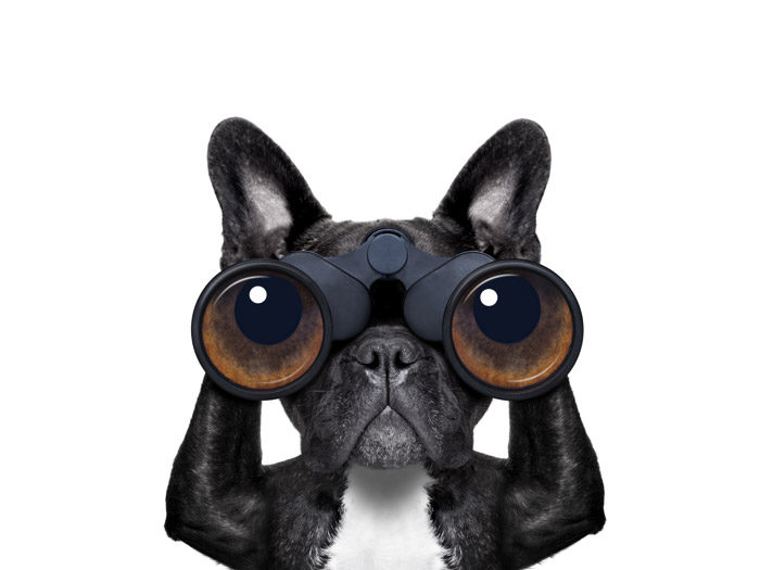 Police Your Trademark