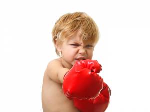 Internet Domain Bully