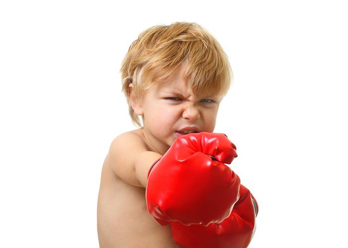 Internet Domain Bully aka Reverse Domain Name Hijacker