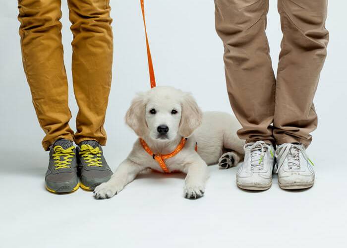 Brands That Last Are Built on Three Legs